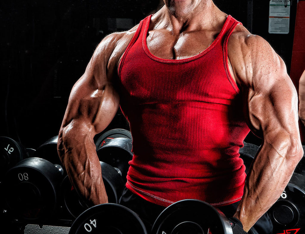 Steroid cycle: Safe supplement for beginner