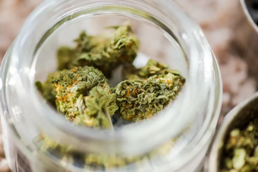 The Ultimate Guide to Finding the Best CBD Flower Shop