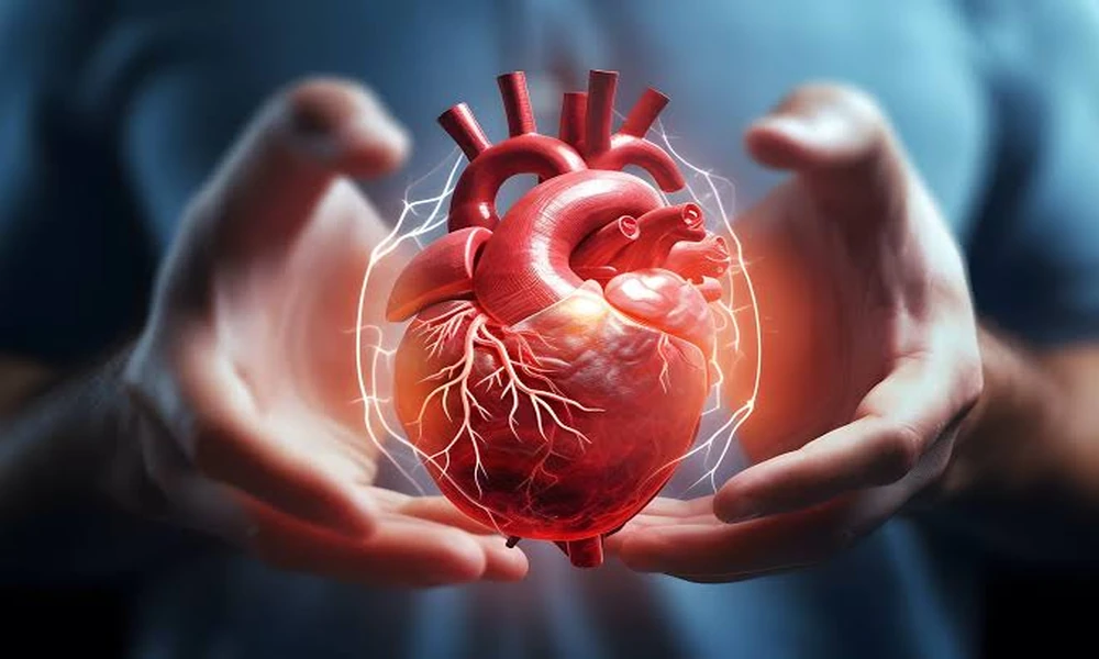 How Are Heart Disease and Diabetes Connected?